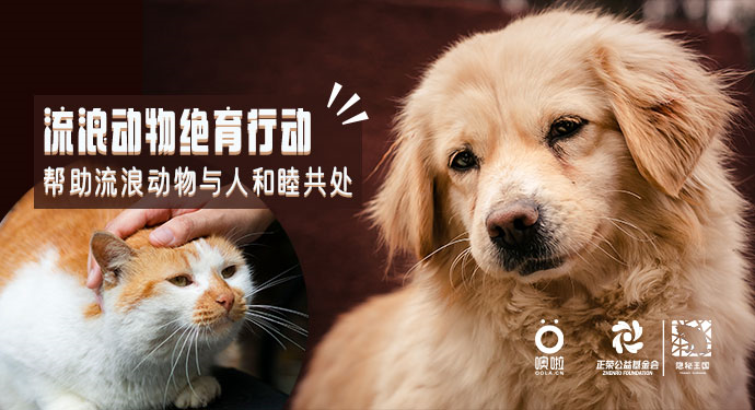 噢啦OOLA环保回收公益平台,平台动态,噢啦回收,十万青年说,公益活动,流浪动物保护,大学生公益,流浪猫狗救助
