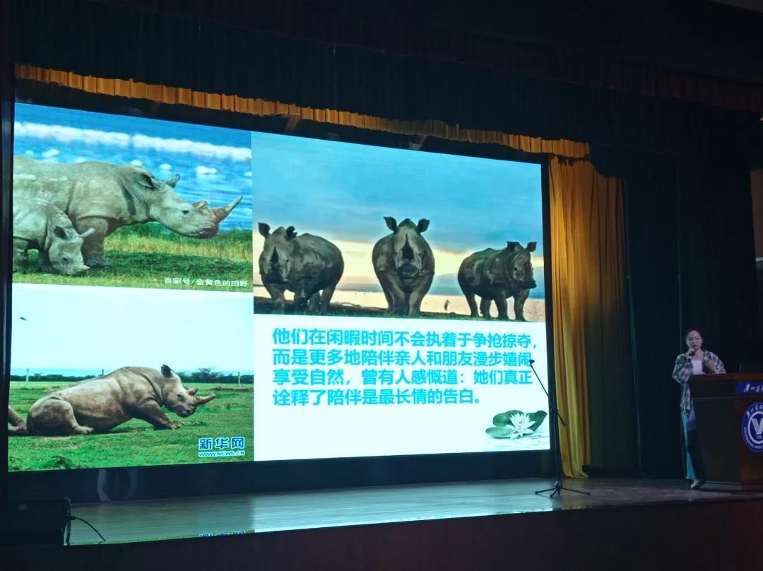 噢啦OOLA环保回收公益平台,平台动态,噢啦回收,十万青年说,公益活动,流浪动物保护,濒危动物保护,生态环境保护